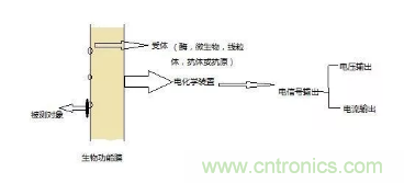 仿生傳感器的定義、原理、分類及應(yīng)用