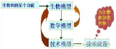 仿生傳感器的定義、原理、分類及應(yīng)用