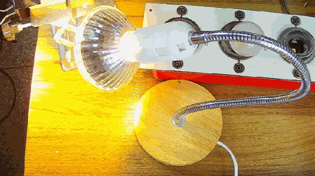 電燈泡內(nèi)通有交流電，為什么看不到燈泡在閃爍？